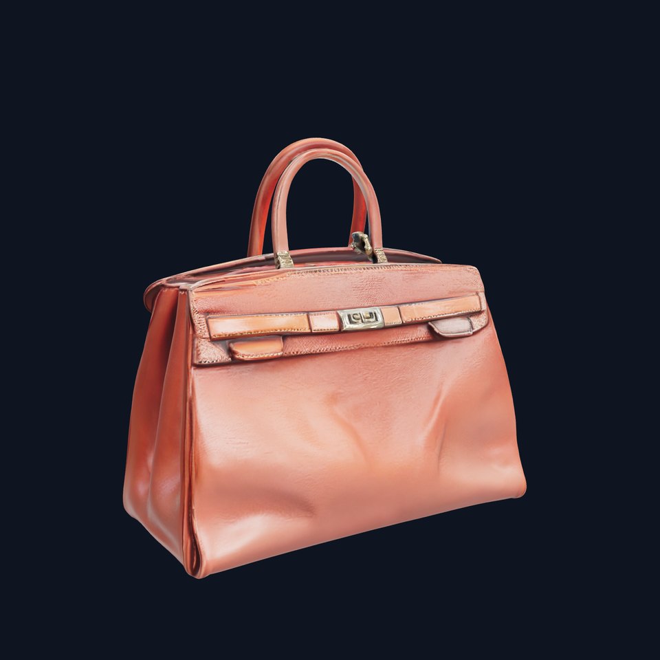 Luxury Handbag Model Pack